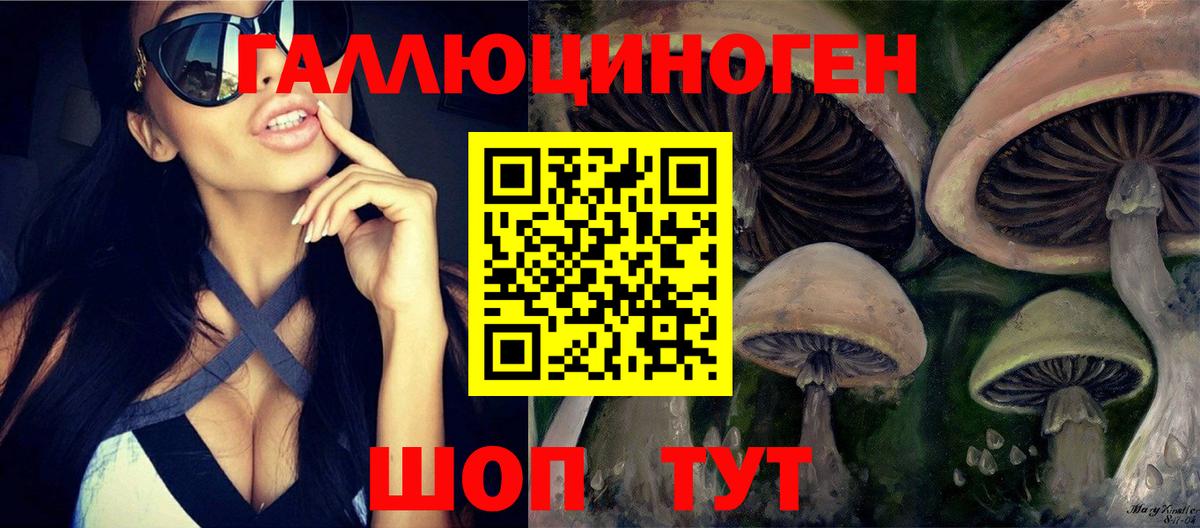 Галлюциногенные грибы Psilocybine cubensis Королёв